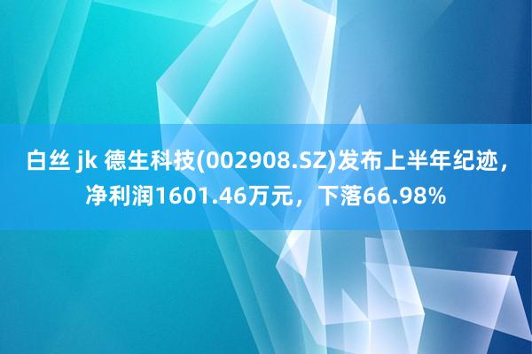 白丝 jk 德生科技(002908.SZ)发布上半年纪迹，净利润1601.46万元，下落66.98%