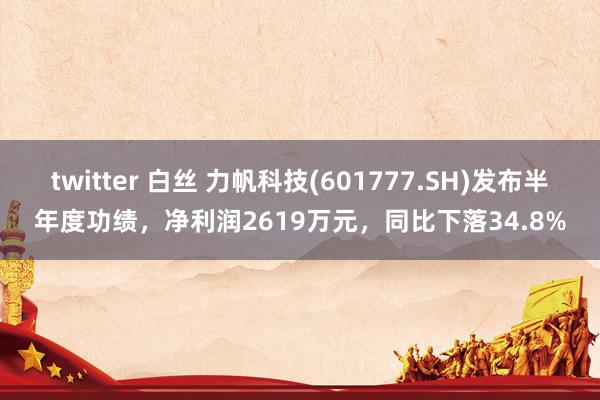 twitter 白丝 力帆科技(601777.SH)发布半年度功绩，净利润2619万元，同比下落34.8%