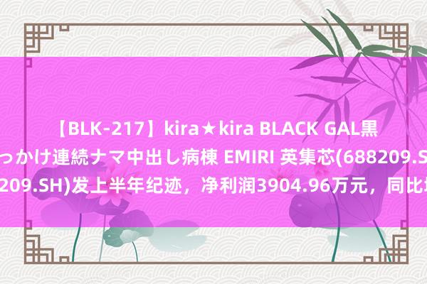 【BLK-217】kira★kira BLACK GAL黒ギャルご奉仕ナース 大量ぶっかけ連続ナマ中出し病棟 EMIRI 英集芯(688209.SH)发上半年纪迹，净利润3904.96万元，同比增长1776.17%