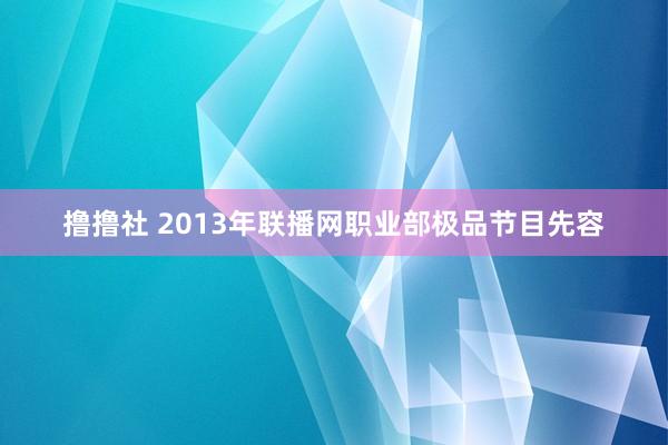 撸撸社 2013年联播网职业部极品节目先容