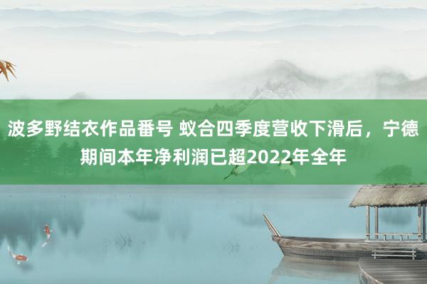 波多野结衣作品番号 蚁合四季度营收下滑后，宁德期间本年净利润已超2022年全年