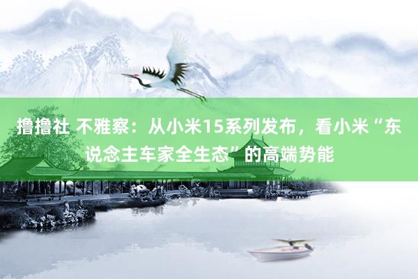 撸撸社 不雅察：从小米15系列发布，看小米“东说念主车家全生态”的高端势能