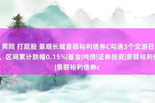 男同 打屁股 景顺长城景颐裕利债券C勾通3个交游日下落，区间累计跌幅0.15%|基金|纯债|证券投资|景颐裕利债券c