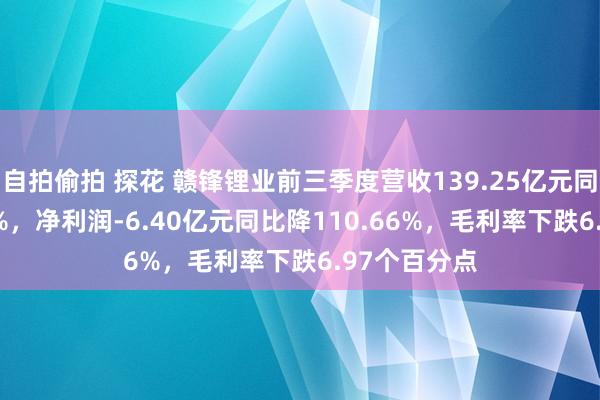 自拍偷拍 探花 赣锋锂业前三季度营收139.25亿元同比降45.78%，净利润-6.40亿元同比降110.66%，毛利率下跌6.97个百分点