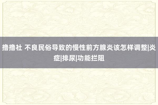 撸撸社 不良民俗导致的慢性前方腺炎该怎样调整|炎症|排尿|功能拦阻