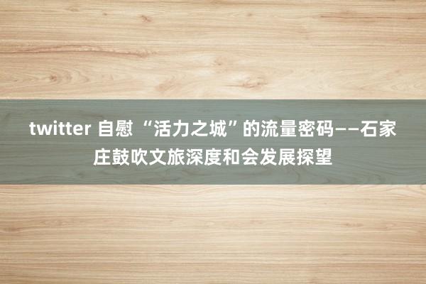 twitter 自慰 “活力之城”的流量密码——石家庄鼓吹文旅深度和会发展探望