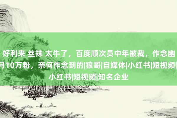 好利来 丝袜 太牛了，百度顺次员中年被裁，作念幽闲博主8月10万粉，奈何作念到的|狼哥|自媒体|小红书|短视频|知名企业