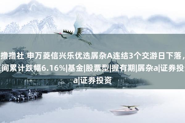 撸撸社 申万菱信兴乐优选羼杂A连结3个交游日下落，区间累计跌幅6.16%|基金|股票型|握有期|羼杂a|证券投资