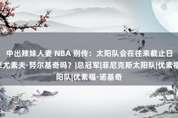 中出辣妹人妻 NBA 别传：太阳队会在往来截止日历前往来尤素夫·努尔基奇吗？|总冠军|菲尼克斯太阳队|优素福·诺基奇